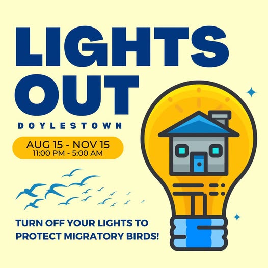 Join Doylestown in Going Lights Out for Birds!